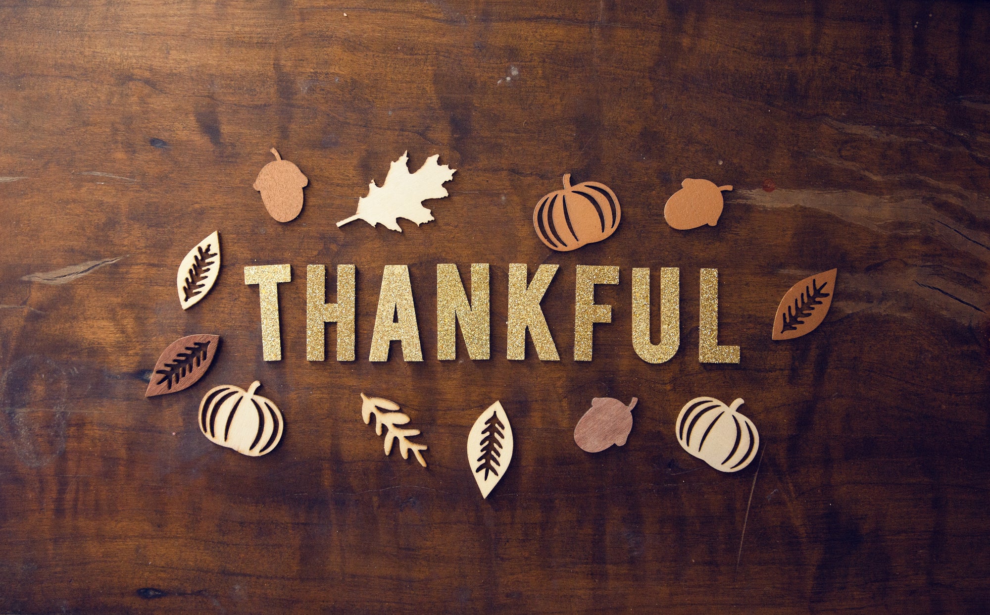 In the Season of Gratitude